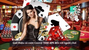 Giới thiệu cá cược Casino TK88 APK đến với người chơi