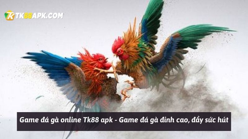 Game đá gà online Tk88 apk - Game đá gà đỉnh cao, đầy sức hút